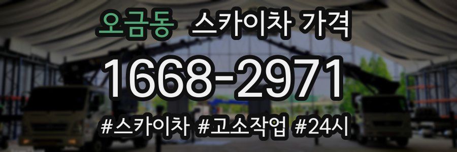 오금동 스카이차 가격