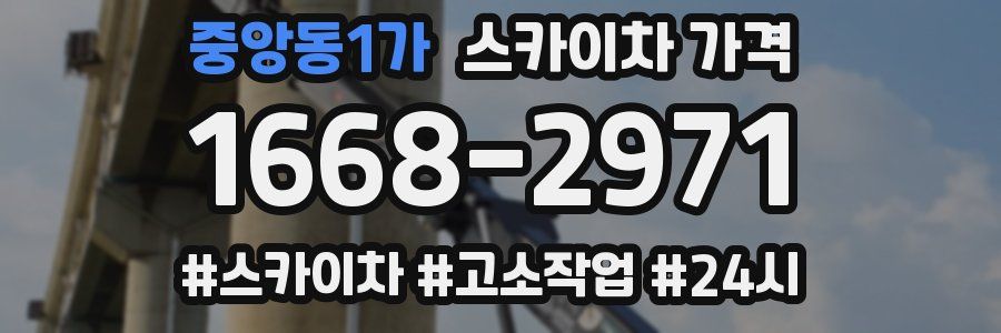 중앙동1가 스카이차 가격