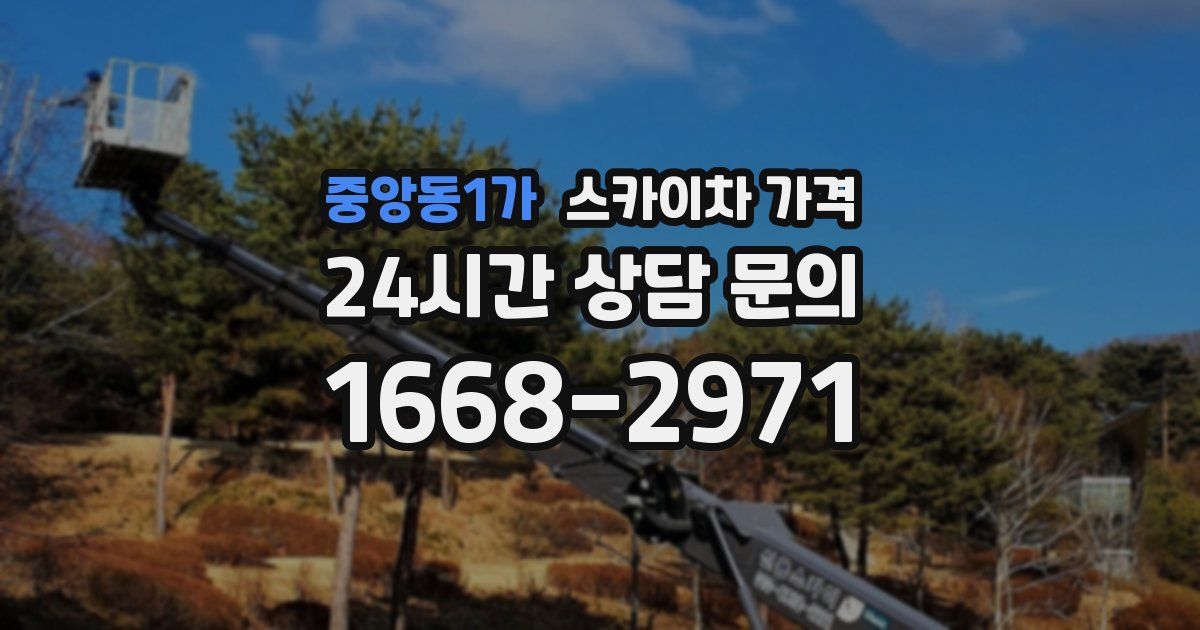 중앙동1가 스카이차 가격