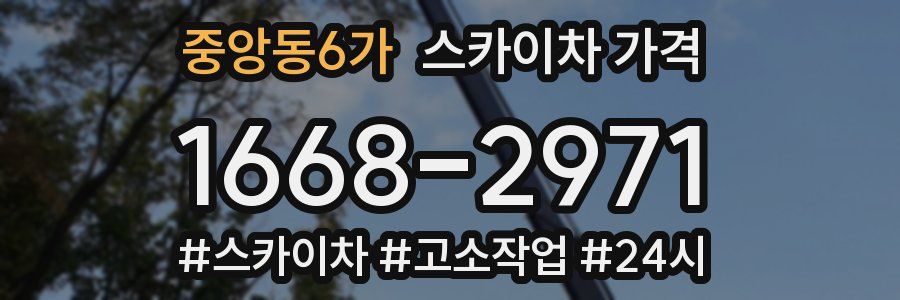 중앙동6가 스카이차 가격