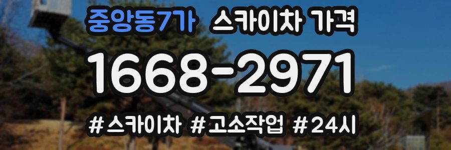 중앙동7가 스카이차 가격