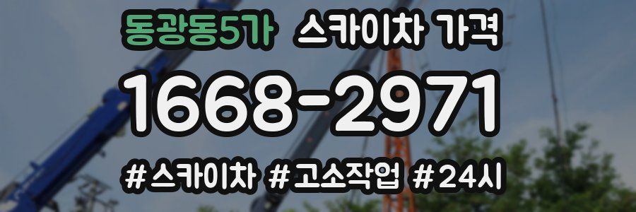 동광동5가 스카이차 가격