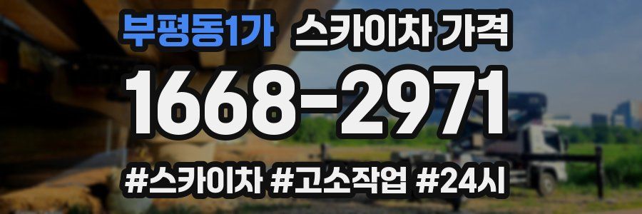 부평동1가 스카이차 가격