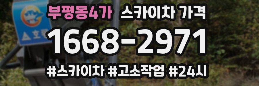 부평동4가 스카이차 가격