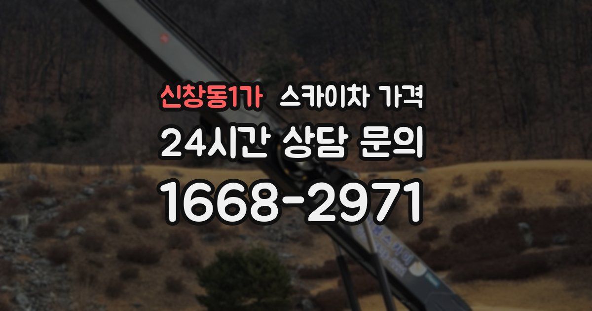 신창동1가 스카이차 가격