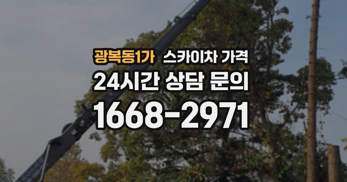광복동1가 스카이차 가격