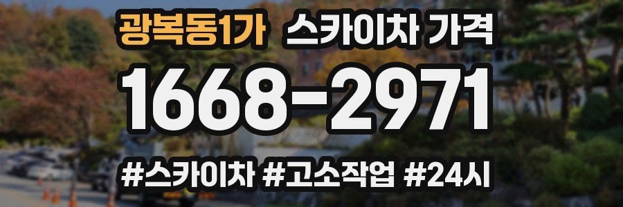 광복동1가 스카이차 가격