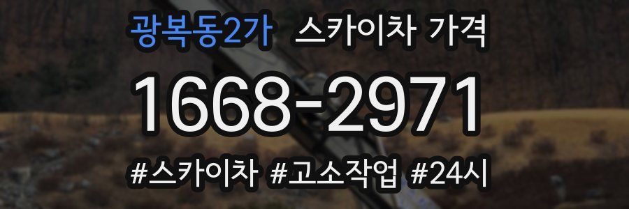 광복동2가 스카이차 가격