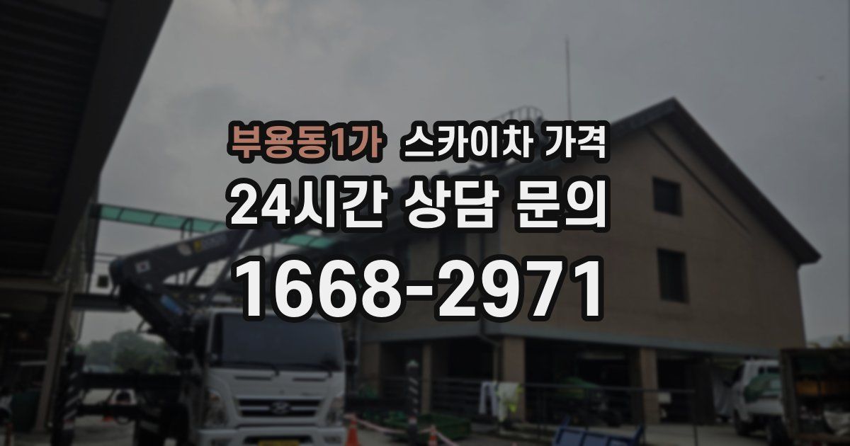 부용동1가 스카이차 가격