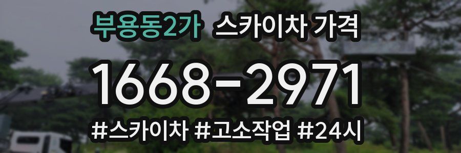 부용동2가 스카이차 가격