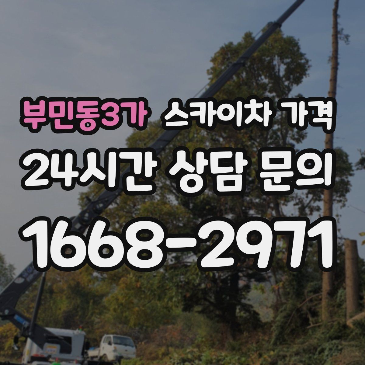 부민동3가 스카이차 가격 작업 유형별로 달라지는 포인트 총정리
