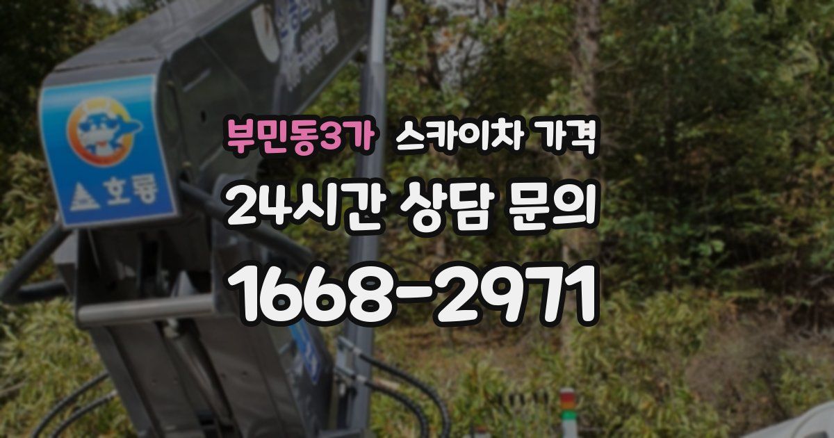 부민동3가 스카이차 가격