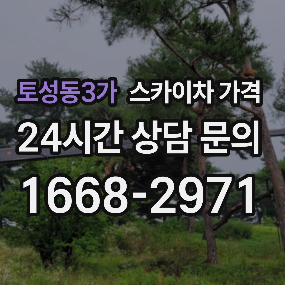토성동3가 스카이차 가격 높이보다 접근성이 더 중요한 현장 정리