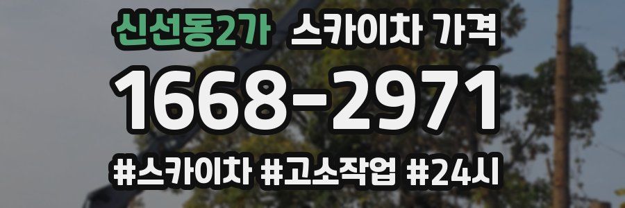 신선동2가 스카이차 가격