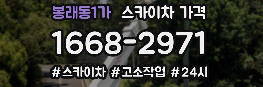 봉래동1가 스카이차 가격