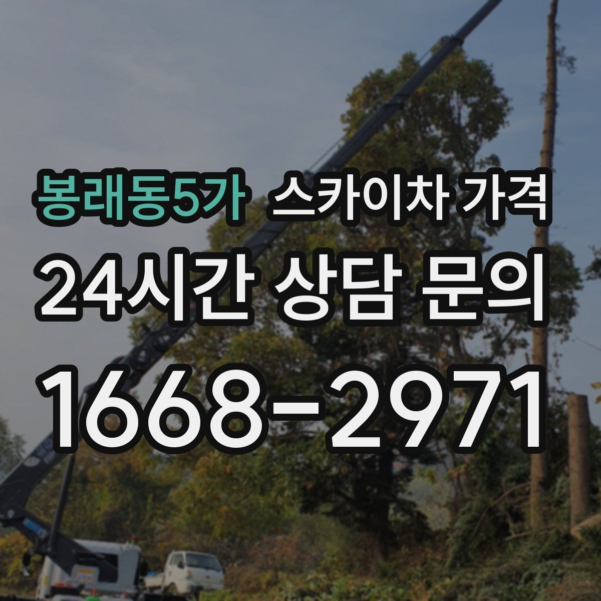 봉래동5가 스카이차 가격 현수막·배너 설치는 어떤 기준으로 책정될까