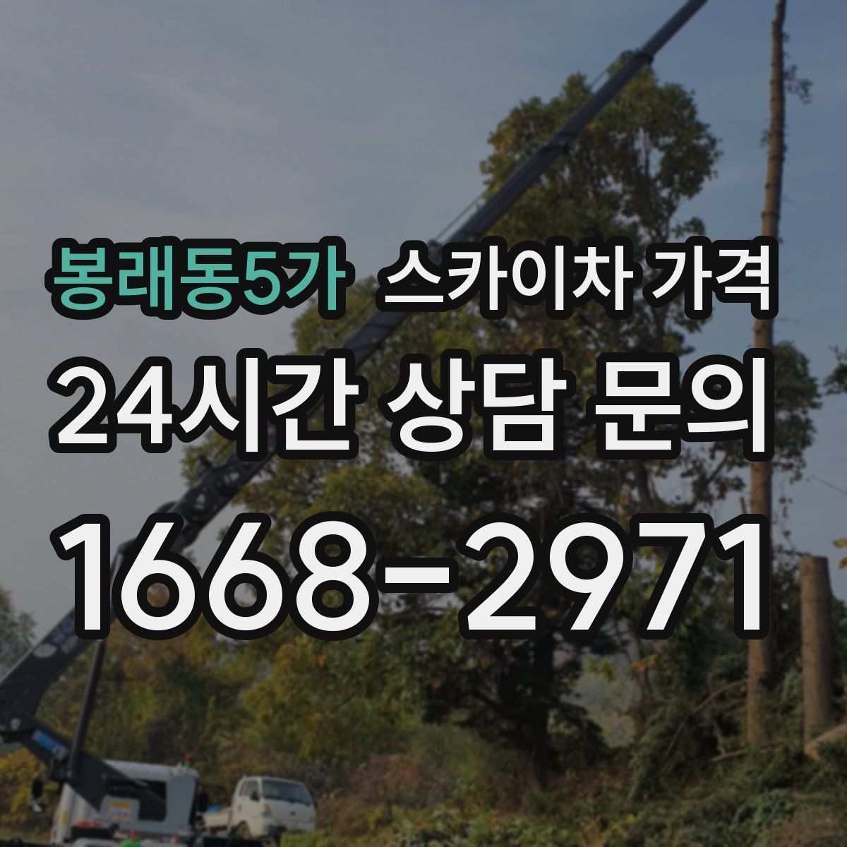 봉래동5가 스카이차 가격