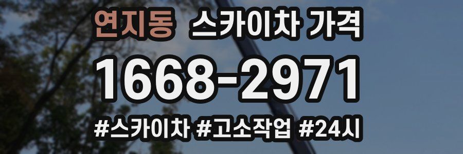 연지동 스카이차 가격