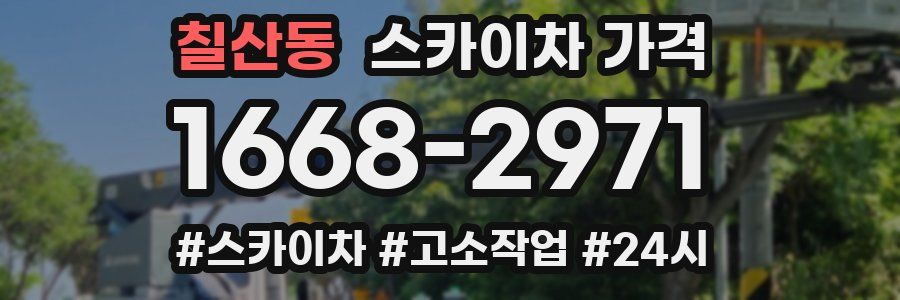 칠산동 스카이차 가격