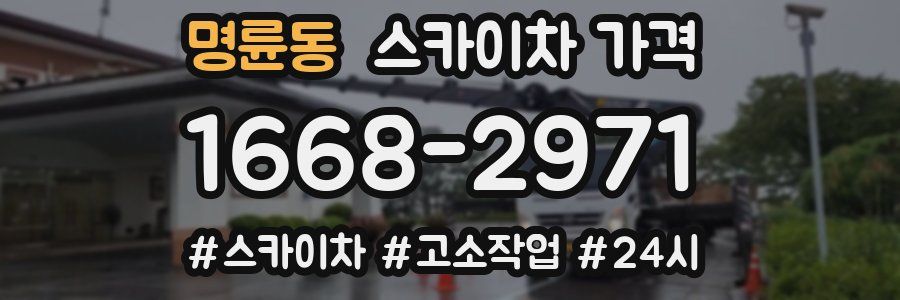 명륜동 스카이차 가격