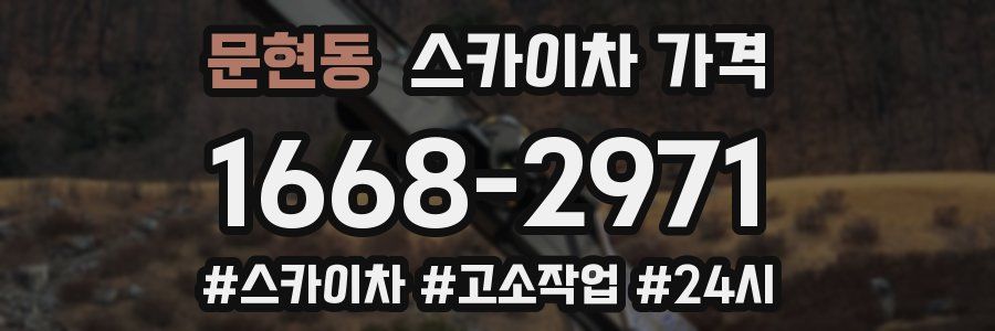 문현동 스카이차 가격