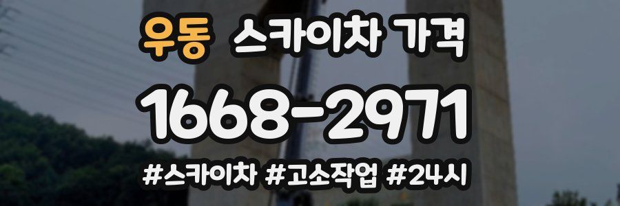 우동 스카이차 가격