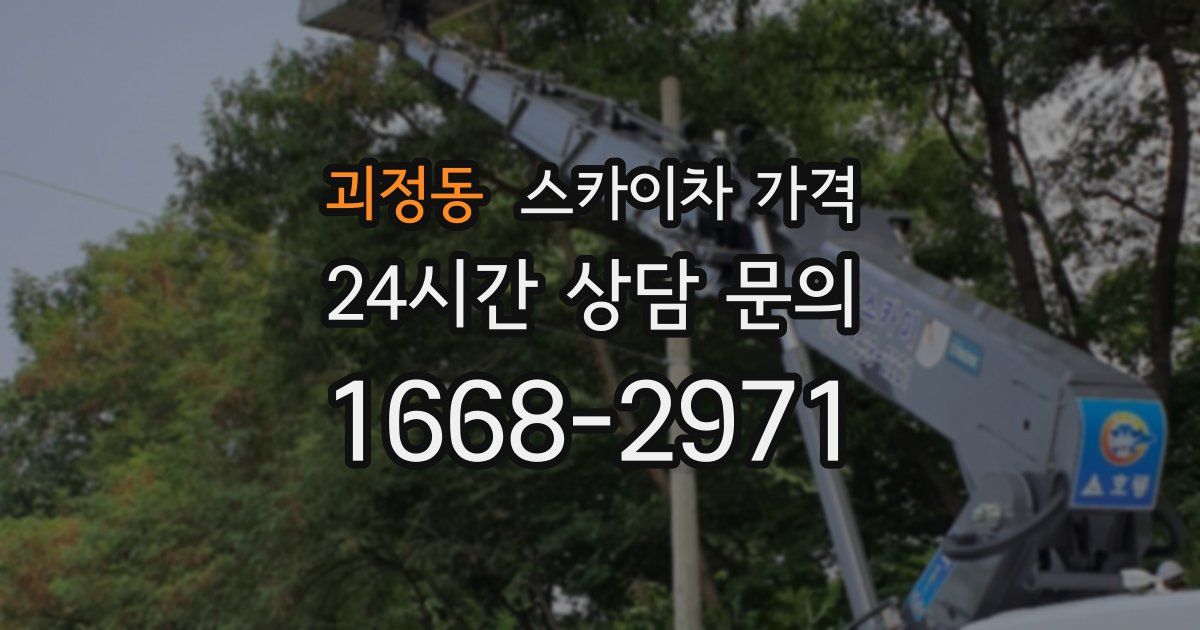 괴정동 스카이차 가격