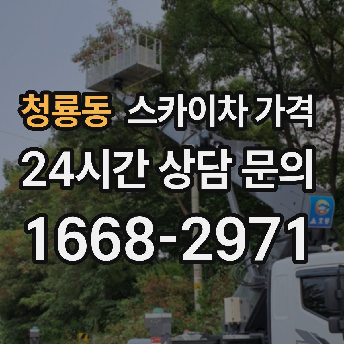 청룡동 스카이차 가격