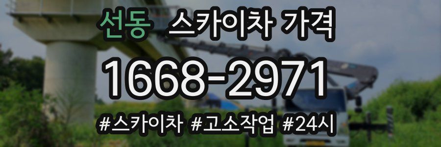 선동 스카이차 가격