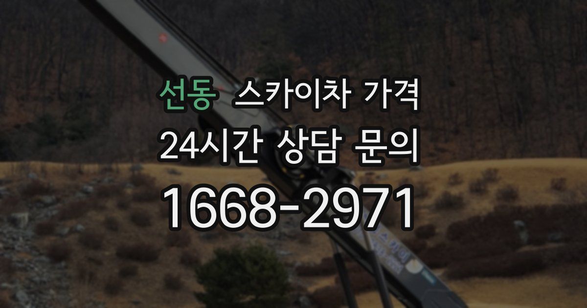 선동 스카이차 가격