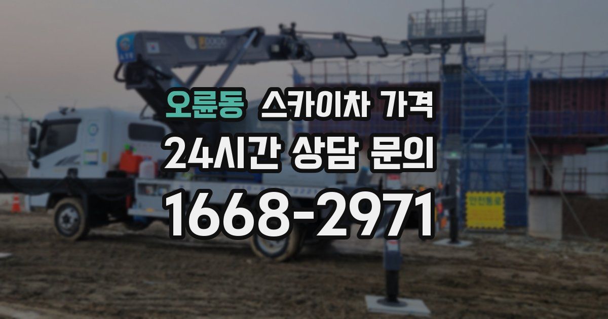 오륜동 스카이차 가격