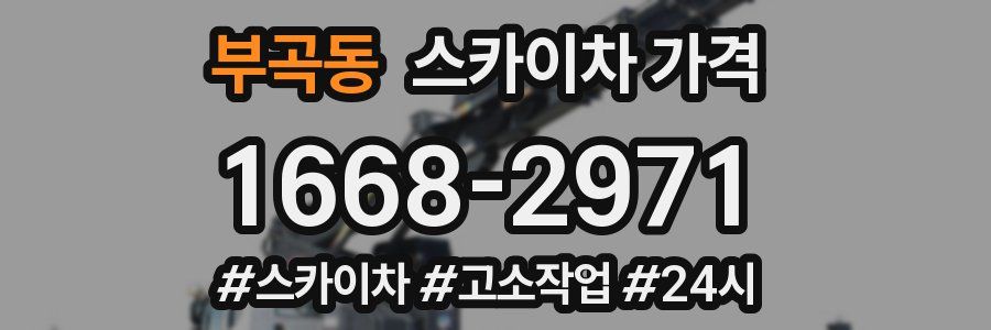 부곡동 스카이차 가격