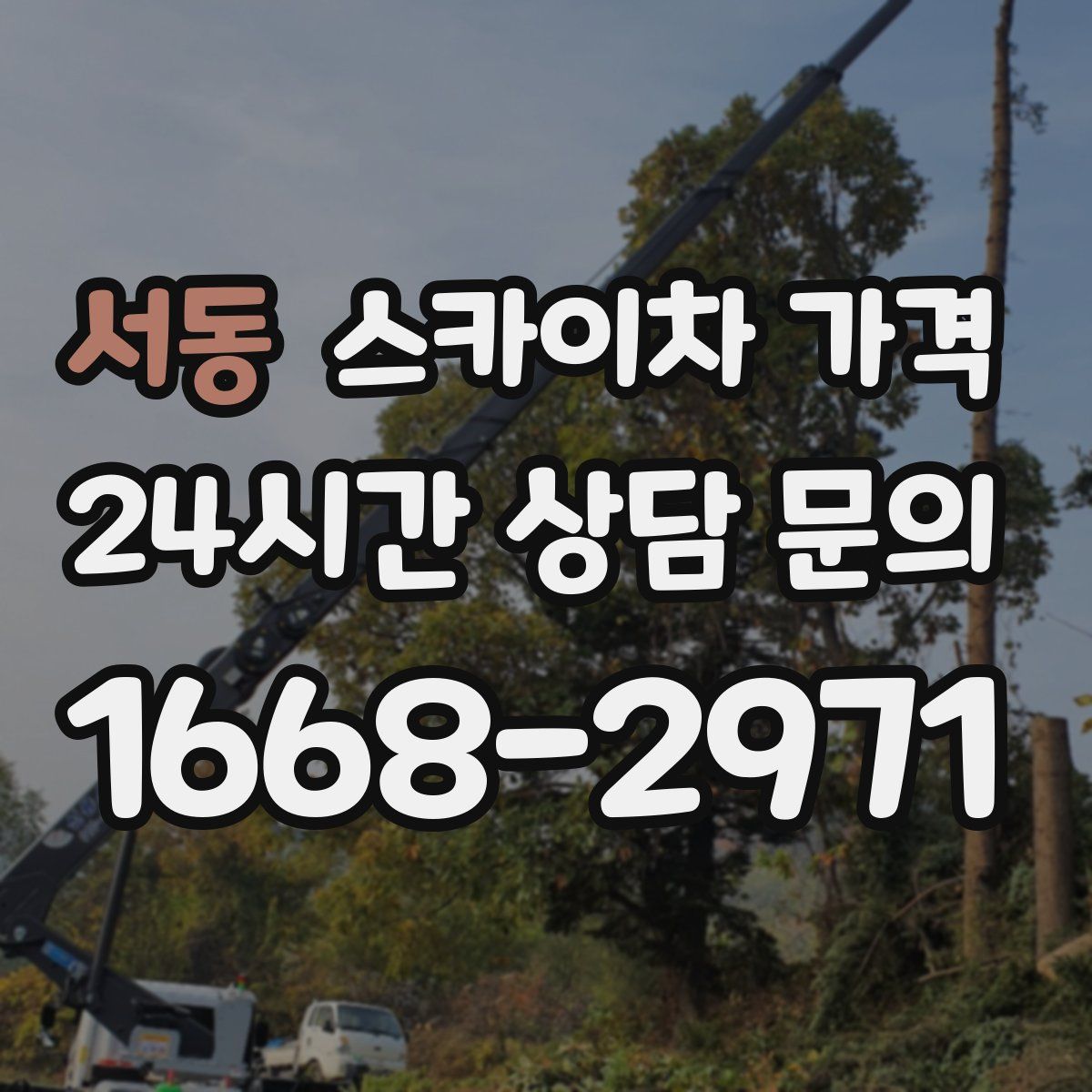 서동 스카이차 가격