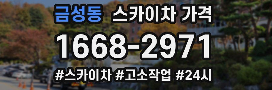 금성동 스카이차 가격