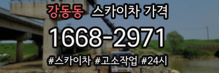 강동동 스카이차 가격