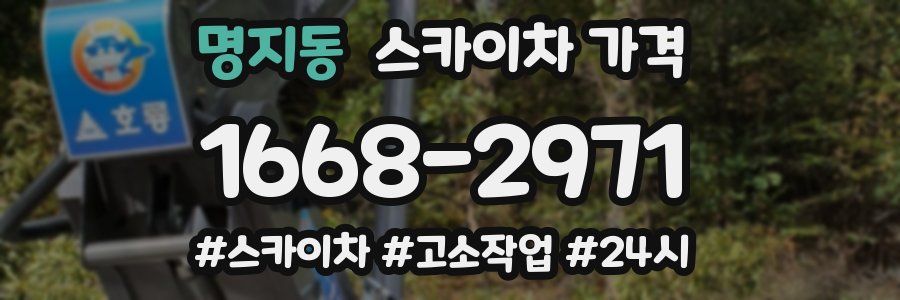 명지동 스카이차 가격