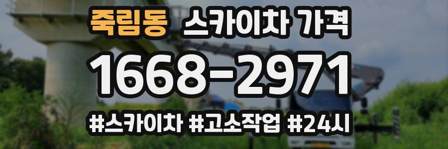 죽림동 스카이차 가격