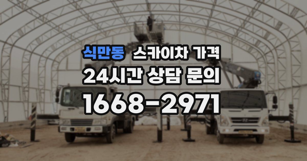 식만동 스카이차 가격