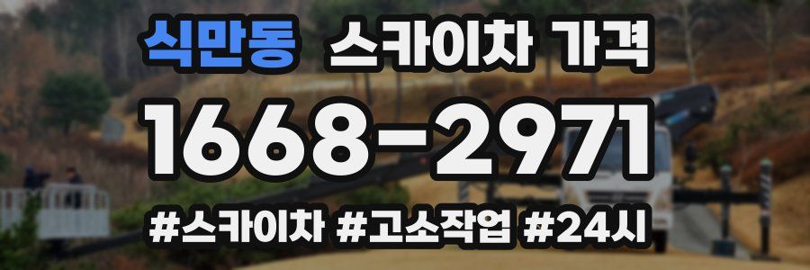 식만동 스카이차 가격