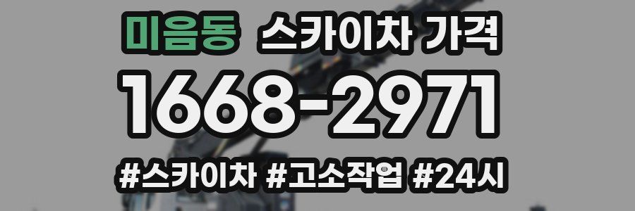 미음동 스카이차 가격