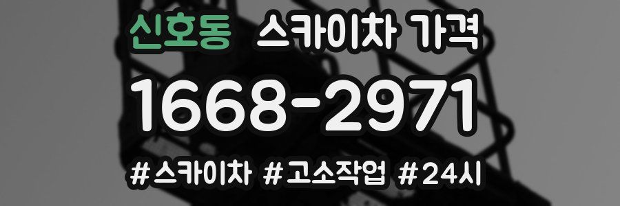 신호동 스카이차 가격