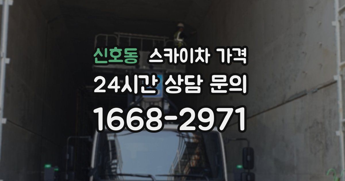 신호동 스카이차 가격