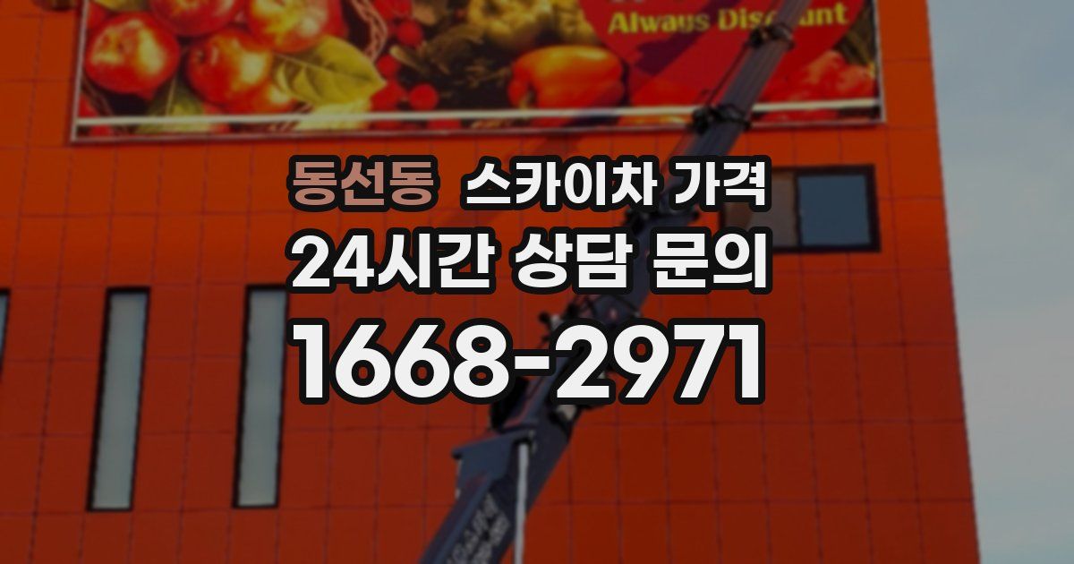 동선동 스카이차 가격