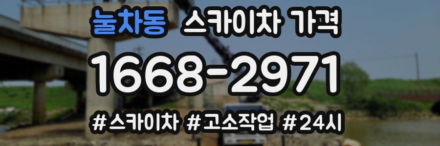 눌차동 스카이차 가격