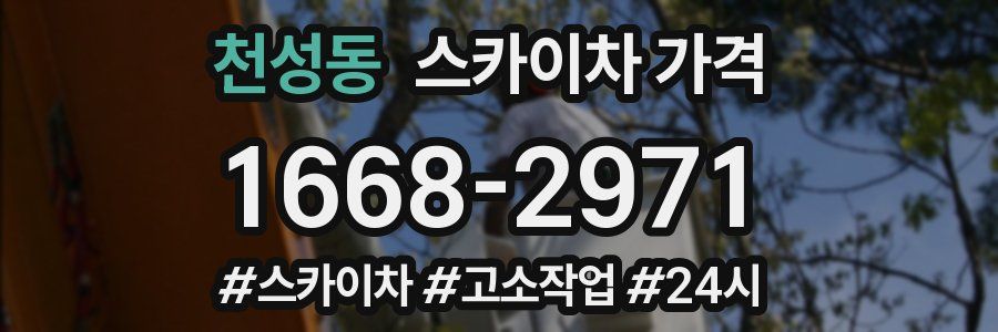 천성동 스카이차 가격