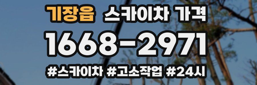 기장읍 스카이차 가격