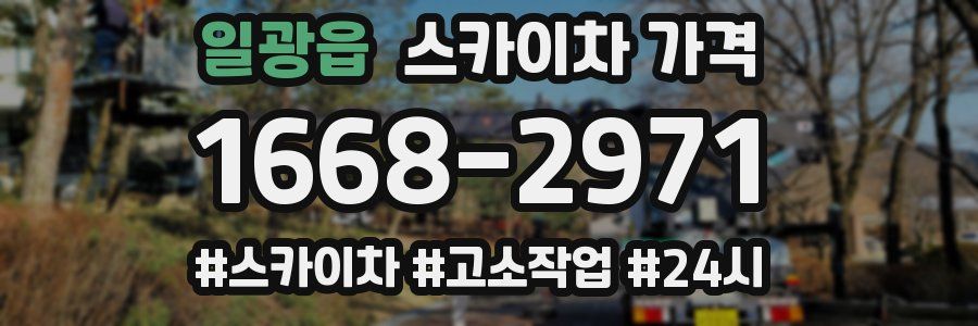 일광읍 스카이차 가격