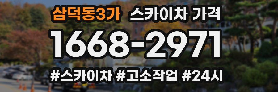 삼덕동3가 스카이차 가격