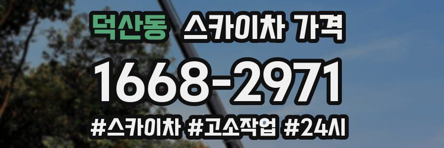 덕산동 스카이차 가격