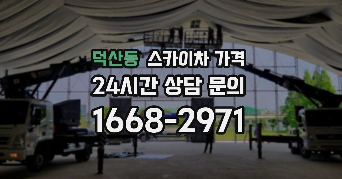 덕산동 스카이차 가격